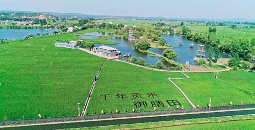 美丽乡村 清凉避暑胜地与环境检测服务的双重魅力