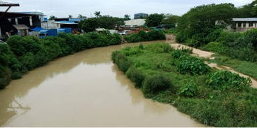 治水攻坚战 新华街水环境治理进行时——8月30日至9月1日战报