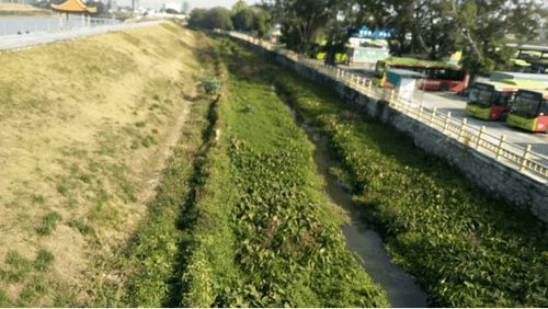 治水攻坚战 新华街水环境治理进行时——12月6日战报