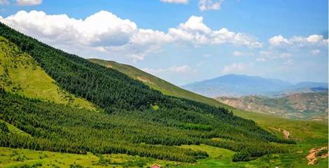 景泰县多措并举 绘就生态宜居新画卷
