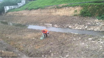 治水攻坚战 | 新华街水环境治理进行时 4月10日环境检测服务战报