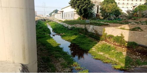 治水攻坚战——新华街水环境治理进行时（1月26-27日战报）