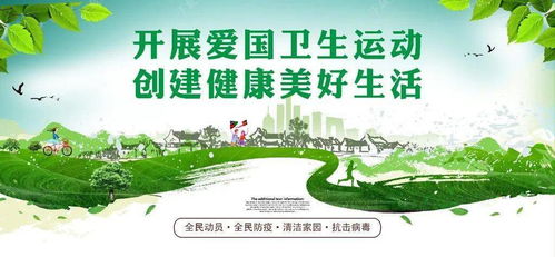网格化管理护古韵，环境治理展新颜——大理镇构筑精细化市容管理矩阵